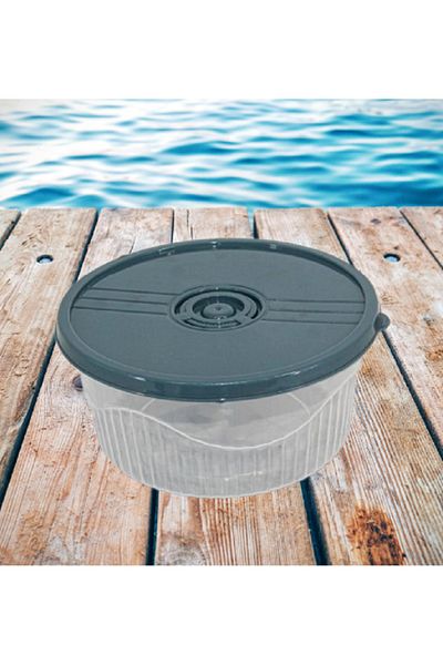 rexa Colored lid transparent food container