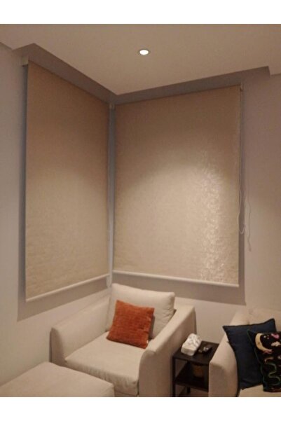 DEC4 Tree roller blinds add a touch of elegance and privacy