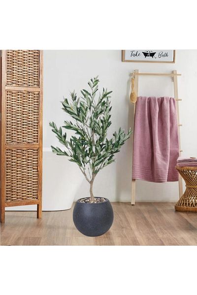 DEC31 130 cm olive tree