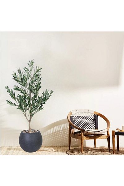 DEC31 130 cm olive tree
