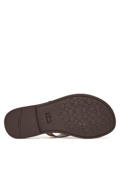 Coach Women's Flip-Flops brown COACH-CZ371 BRN BROWN