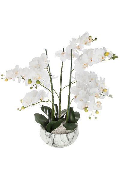 HomeVibes Flori decorative Orhidee