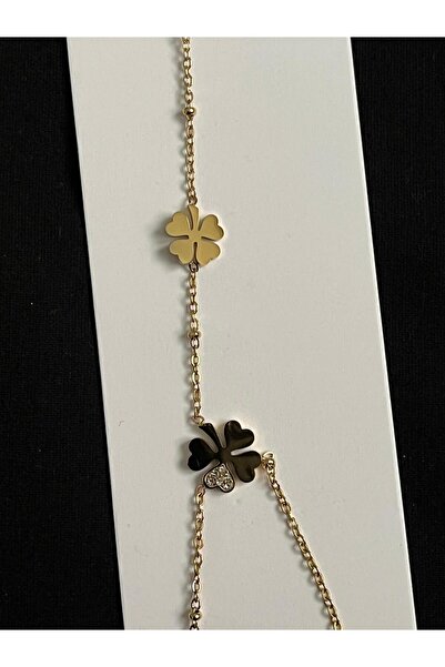 ASD TAKI زهرة البرسيم مفصلة بحجر الزركون الفاخر من الفولاذ شاهميران