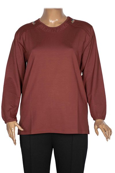 Pıtırcık Cimariva Women's Meyra Large Size O Neck Embroidered Tan Blouse