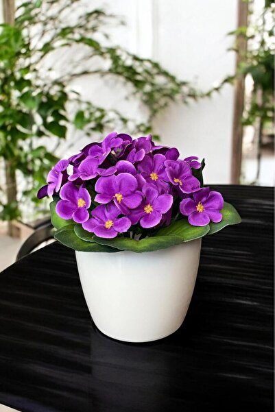 YAPAY ÇİÇEKÇİNİZ BEYAZ RENKLİ SAKSIDA CANLI RENKLİ GERÇEK DOKULU YAPAY MENEKŞE