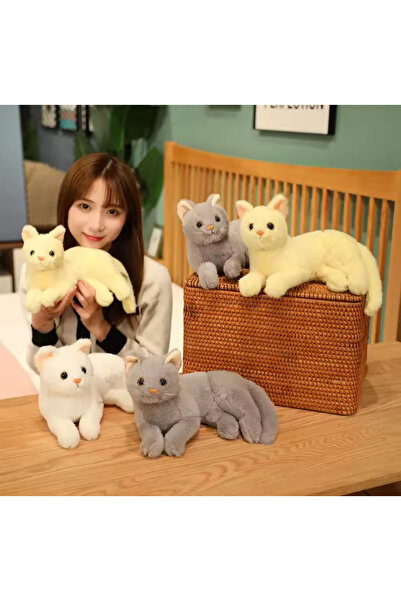 charmerprincesses peluş kedi oturan kedi peluş oyuncak uyku arkadaşı kedi gerçek kedi hissi ithal 30 cm kedi