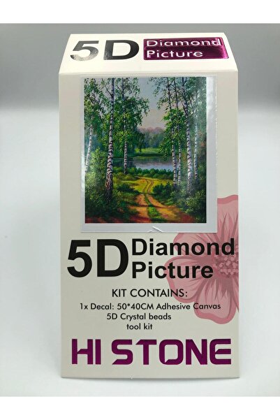 DUCK HOBY 50x40 Boncuklu Taş Mozaik Elmas Goblen Pano Tablo Resim Boncuk Puzzle Dıamond Paıntıng Hı Stone