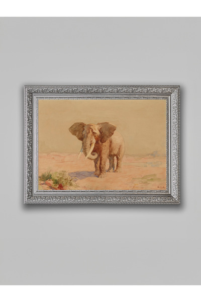 WoodyArts Stari slon - Sivi antikvitetni okvir