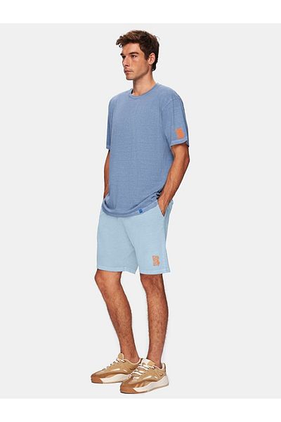 Ltb Printed Regular Blue Shorts
