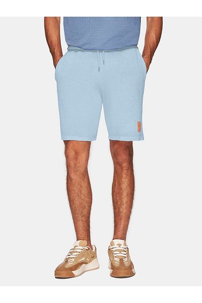 Ltb Printed Regular Blue Shorts