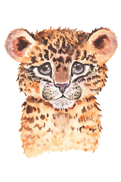Reysa Tasarım Portrait of a Baby Leopard