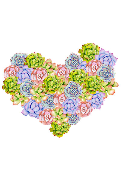 Reysa Tasarım Heart Shape Made of Succulents