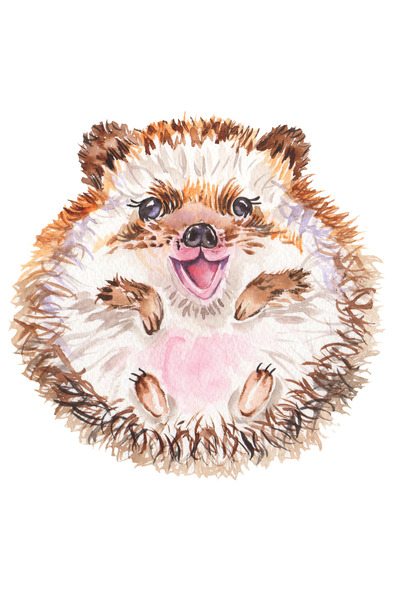 Reysa Tasarım الخنزير السعيد