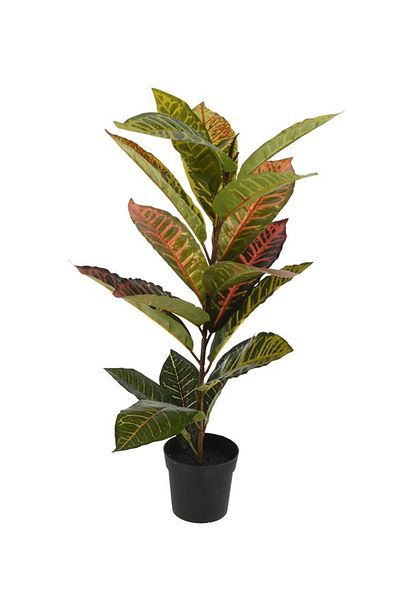 Koopman Artificial Calathea plant, Azay Design, colorful leaves, in black plastic pot, H 65 cm