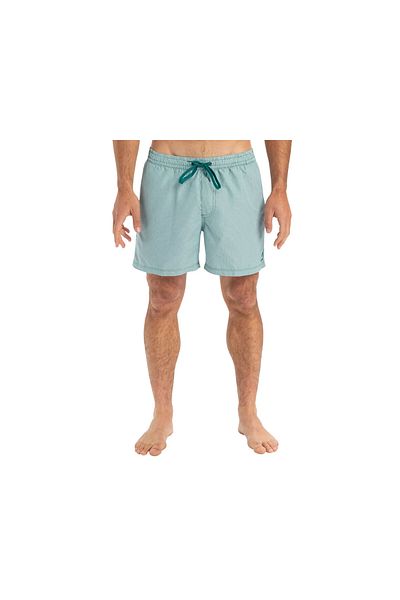 Quiksilver Everyday Deluxe Volley 15 Men Shorts Swimwear Eqyjv04101-21882 Green