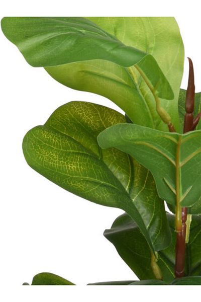 Koopman Artificial Ficus Lyrata plant, Azay Design, with wide green leaves, in black pot, H 60 cm