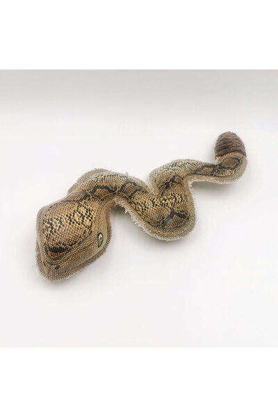 NUTRAPET The Slithering Snake