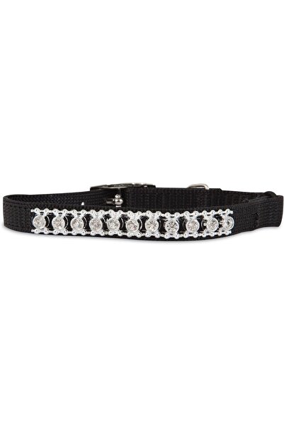 Petmate PETMATE CAT ELASTIC COLLAR 3/8 X 8-10" BLACK BLING