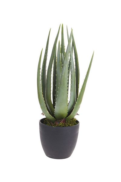 Koopman Artificial green Aloe Vera plant, Azay Design, in black pot, rubberized leaves, H 45 cm