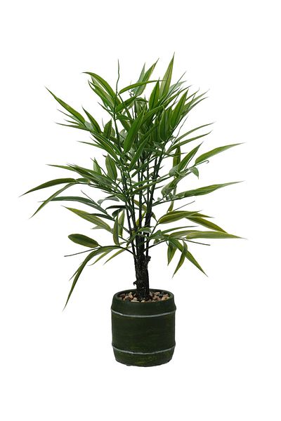 Koopman Artificial Bamboo plant, Azay Design, thin green leaves and green cement pot, H 48cm