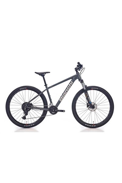 Bianchi Magma 29.1 Altus 3x8-V HD 48 cm Gri-Gümüş Dağ Bisikleti
