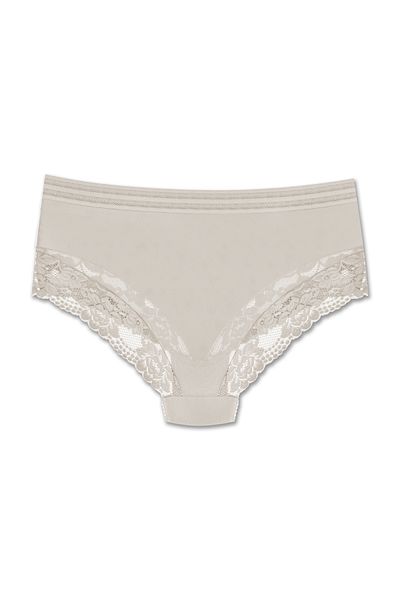 ZENA UNDERWEAR Tulle and Lace Detailed Elastic High Waist Plus Size Women's Panties