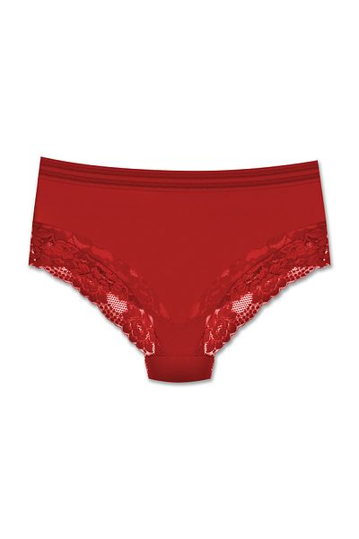 ZENA UNDERWEAR Tulle and Lace Detailed Elastic High Waist Plus Size Women's Panties