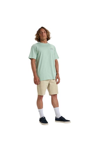 BİLLABONG Billabong Billabong Arch Wave Men's Green T-Shirt Men's T-Shirt C1Ss65Bıp2