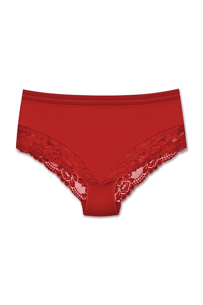 ZENA UNDERWEAR Tulle and Lace Detailed Elastic High Waist Plus Size Women's Panties