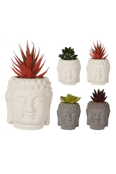 Koopman Artificial Succulent Plant, Azay Design, made of polypropylene in various colors, in a cement pot with