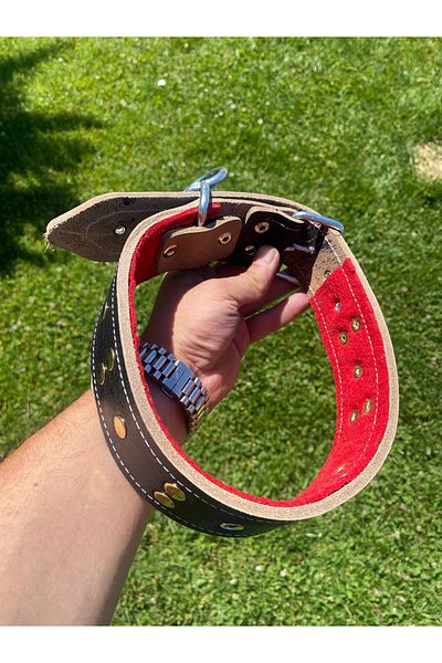 Sürmeli Tasma Leather Dog Collar 78 cm 100% Genuine Buffalo Leather