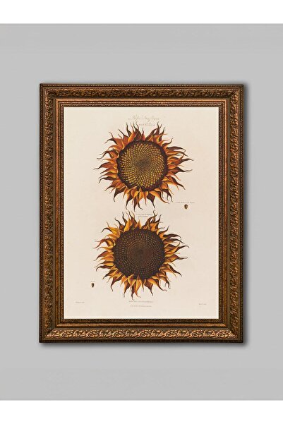 WoodyArts Structura floarelor de soare - Cadru antic maro