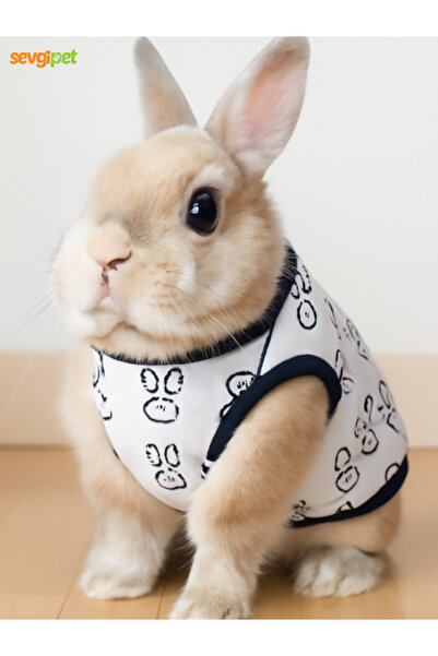 sevgipet Tavşan, GinePig ve Yavru Kediler İçin Kıyafet