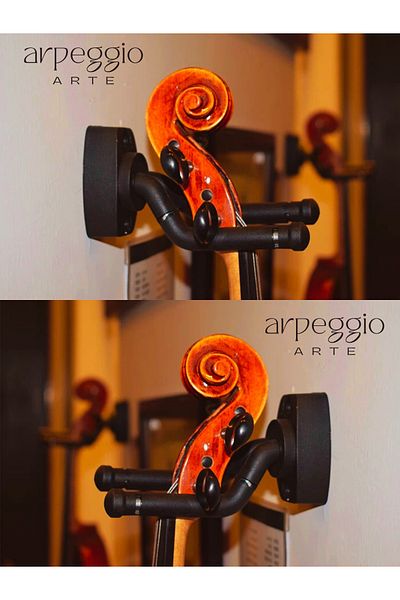 arpeggio ARTE Guitar Wall Hanger |   Screw, Sponge Holder |   Violin & Ukulele Compatible