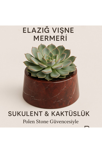 Polen Stone Elazığ Vişne Mermer Sukulentlik / Kaktüslük