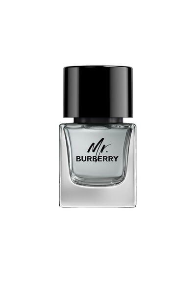 BURBERRY Mr Edt Dampf 50 ml