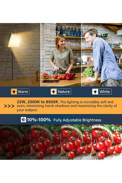 glanfen 12 inch LED Video Light Kit,2700K-7500K 10W Photography Studio Light with Tripod Stand Phone Holder