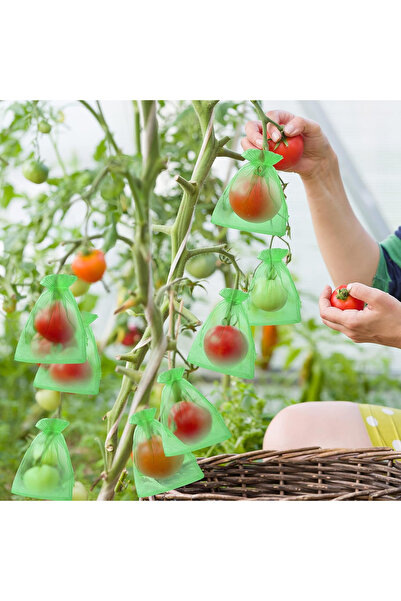 MaffStuff Fruit and Vegetable Protection Bag 10x15 cm – Anti-Pests, Insects, Birds, Rodents 🥬🍒