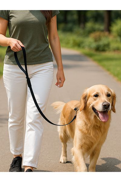 BEYLİNİ Durable Dog Walking Strap Pet Leash Compatible with All Leashes with Metal Buckle Black 100cm