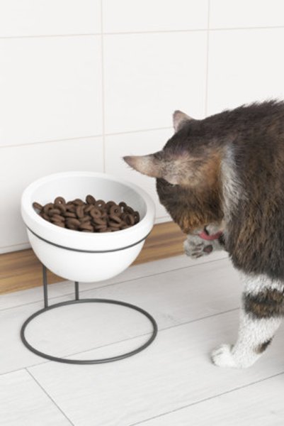 Dekula Seramik Mama Ve Su Kabı Metal Standlı Kedi Köpek Mama Kabı Evcil Hayvan Mama Kasesi