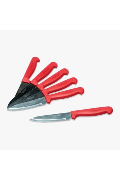 Professional 6-Pieces Steak Knife Set Red and Silver