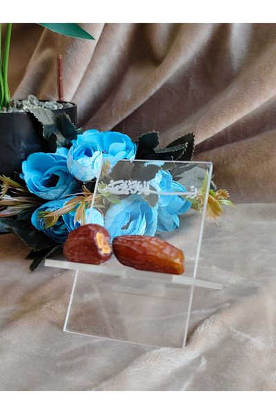 HARPİES Hurmalık Presentation |   (6 Pcs) | 9*6 cm | Kh6007