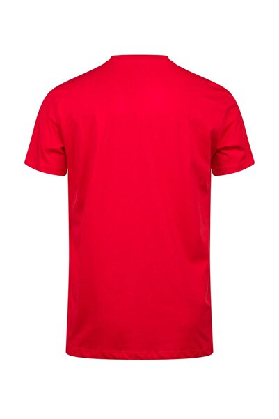 2AS Ανδρικό μπλουζάκι με λαιμόκοψη με στάμπα Alex