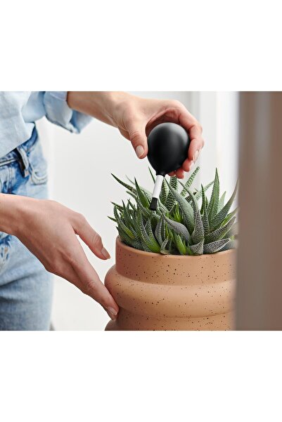 Tchibo 2'si 1 Arada Üfleme Fanlı Fırça