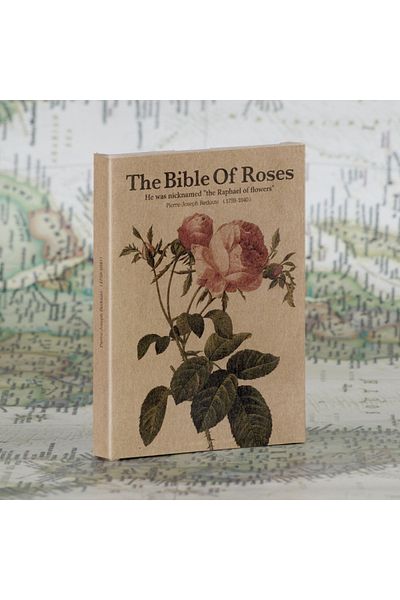 Choice 25Pcs 25Pcs/Lot Retro Kraft Paper Postcards The Bible Of Rose Art Illustration Greeting Card Decorat