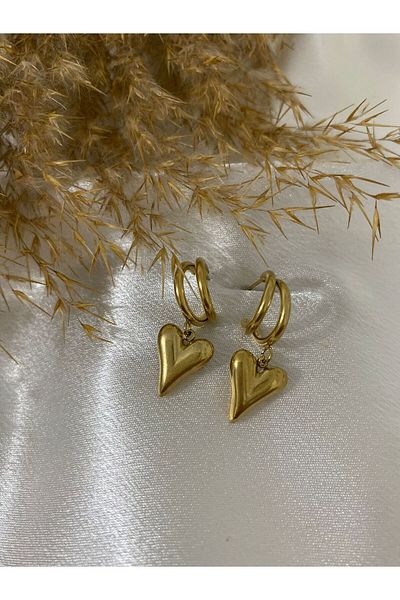 stainless steell Heart Detailed Steel Earrings