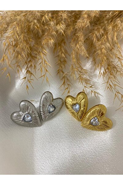 stainless steell Stone Detailed Heart Steel Earrings