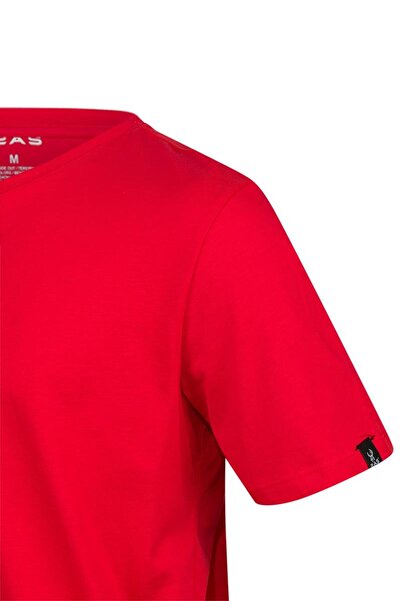 2AS Ανδρικό μπλουζάκι με λαιμόκοψη με στάμπα Alex