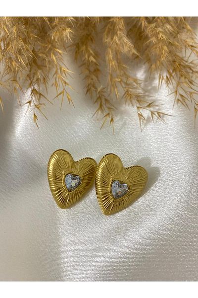 stainless steell Stone Detailed Heart Steel Earrings