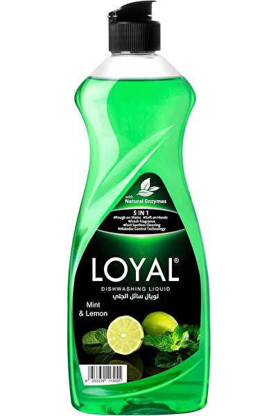 Loyal Dishwashing Liquid With Mint & Lemon 700ml